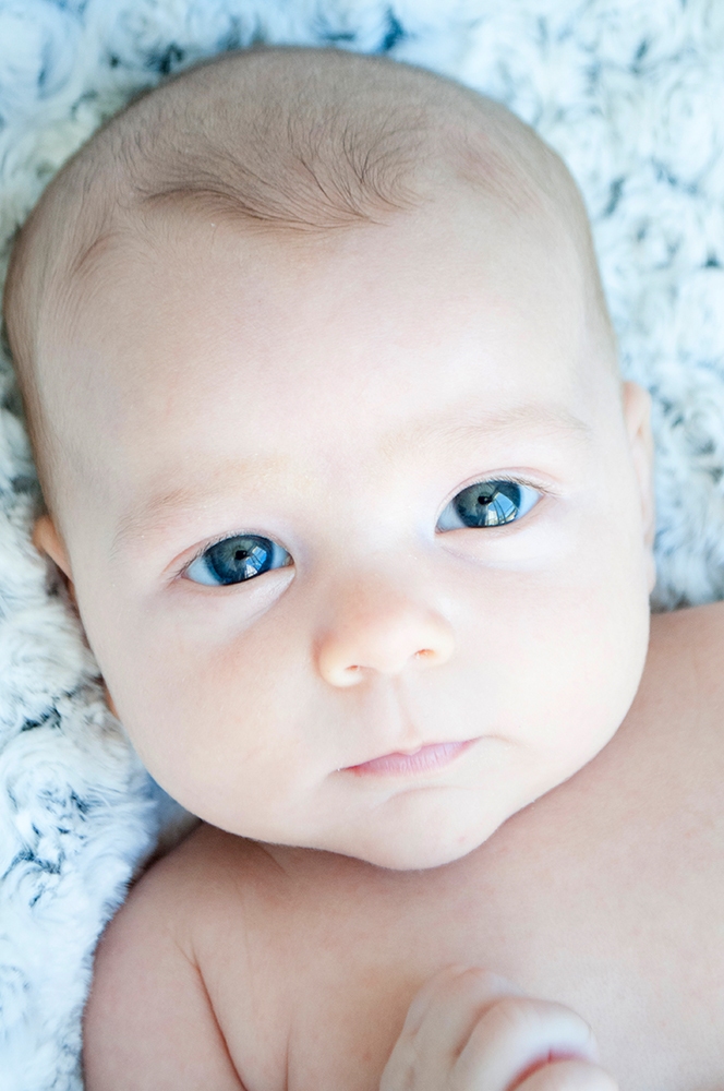 portrait bébé