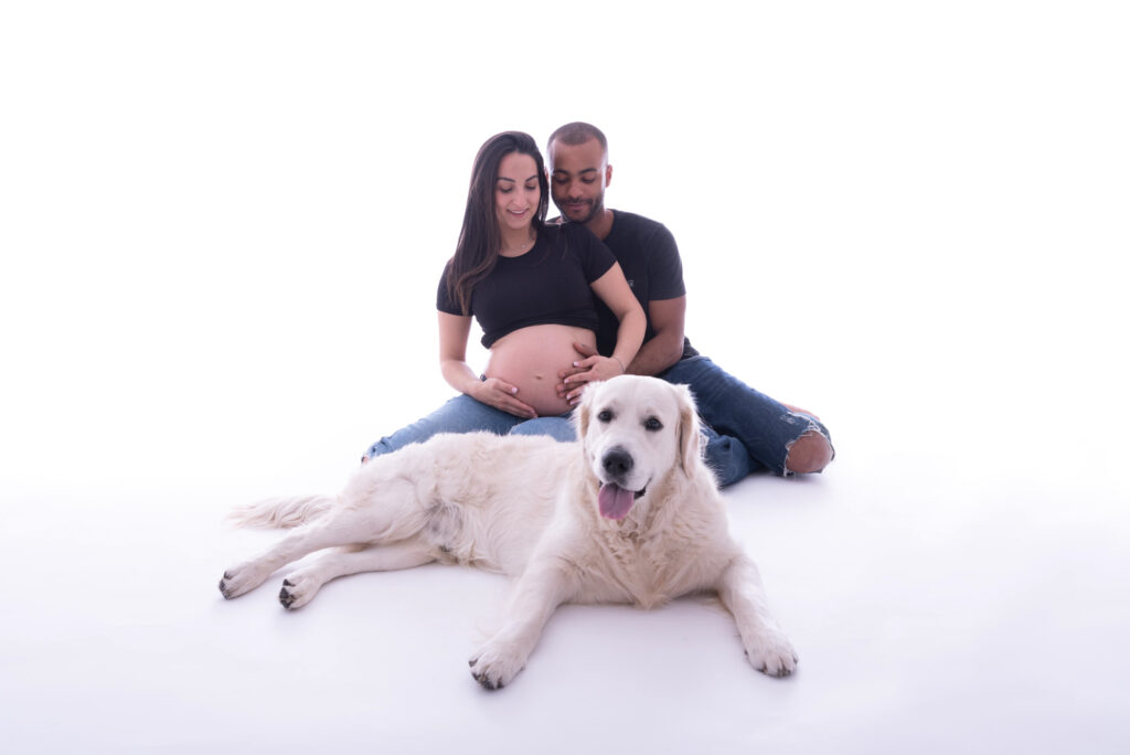 Séance photo grossesse avec chien