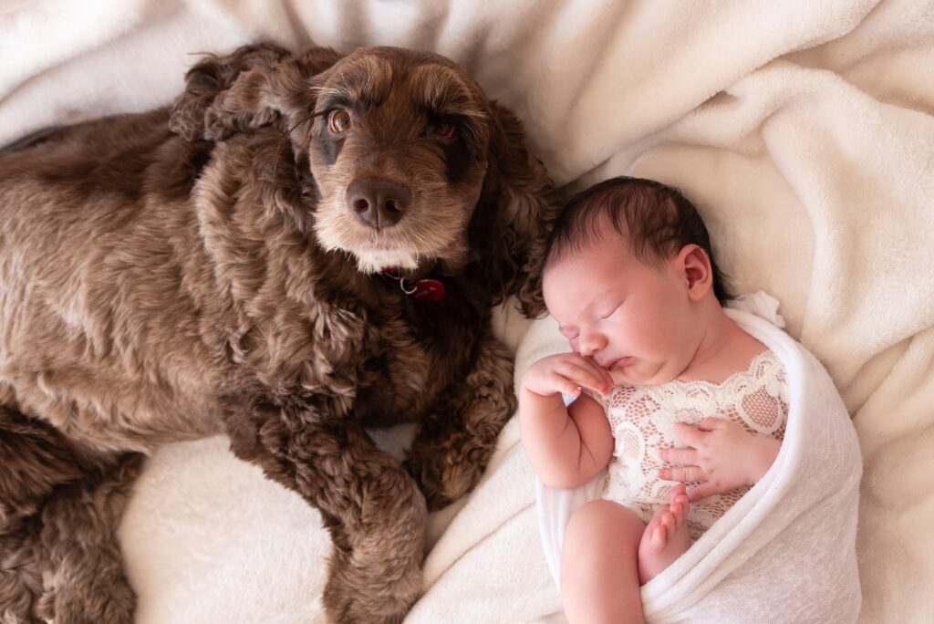 Fotografía de bebé y perro Valencia